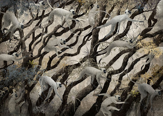 Gabriel Pacheco - Maymunlar Ormanda, Orman Çocuğu Mogli