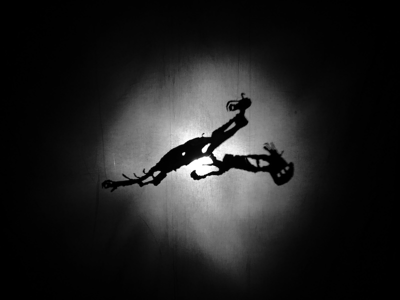 Ceren Oykut - Untitled, iron cut / shadow / photo, visual for "Other Animals We Want for Love"